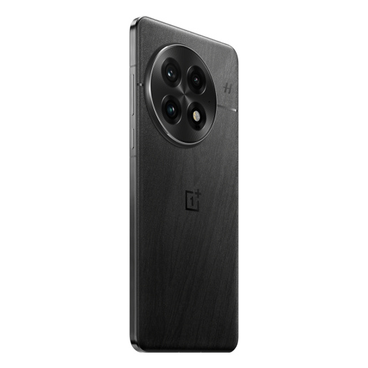 OnePlus 13 16/512Gb Dual nano Sim Черный Global